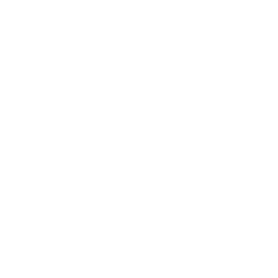 t-shirt icon