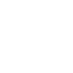 smartphones icon